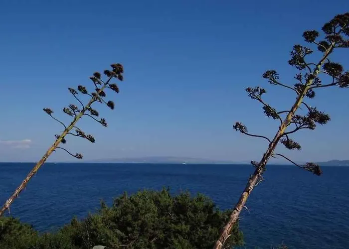 Appartement In Okrug Gornji 6167